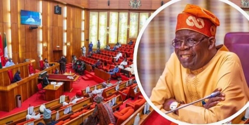 Senate halts consideration of Cocoa Management Board Bill after Tinubu?s request