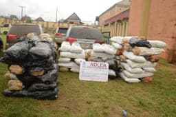 NDLEA arrests teacher, wife with 360 bags of cannabis in Cross River