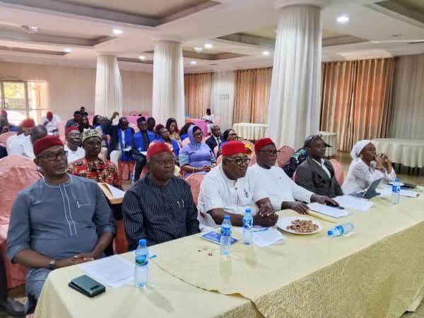 Igbo Agenda unfolds plans for first Igbo Political Summit, unveiling of Igbo Political Charter