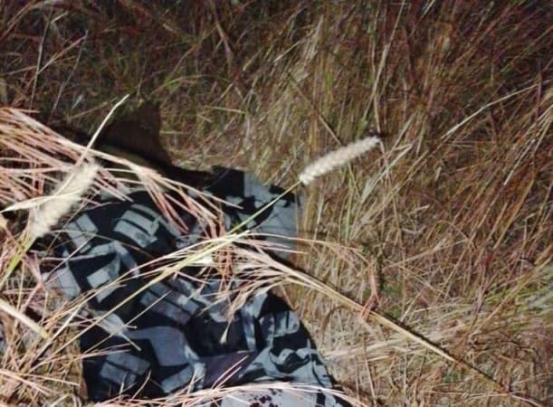 Troops neutralize ISWAP fighter in Gwoza ambush operation