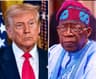 Why Tinubu is yet to visit US, meet with Trump ? FG