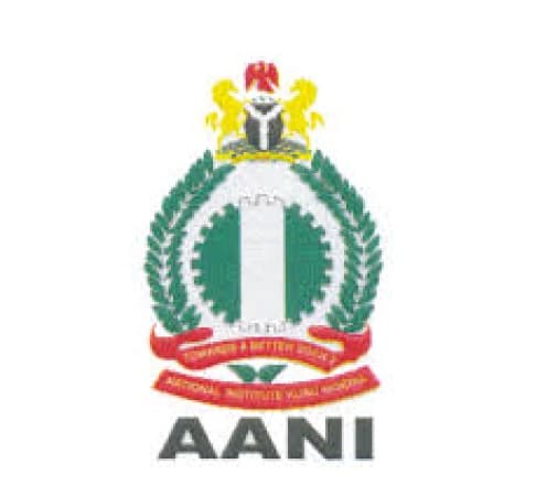 AANI laments spate of killings, abductions, insecurity bedeviling Nigeria