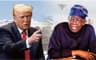 Christian genocide: Trump threatens to cut off aid to Nigeria