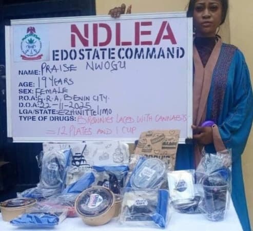NDLEA arrests influencer over online sale of cannabis-laden cookies