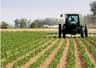 Chinese firm launches advanced agricultural spraying technology in Kano