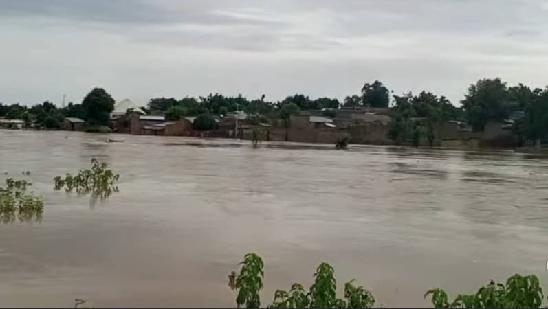   FG begins $500m fundraising for flood preparedness