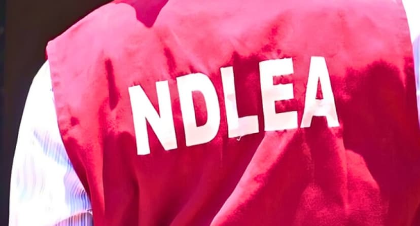 NDLEA Seizes ₦6.7bn Worth Of Tramadol, Codeine From Lagos Warehouse