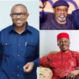 Contending perspectives on Ex-Anambra governors