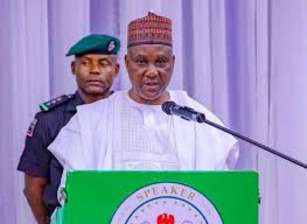 Reps kick off probe of $460m Abuja CCTV Project