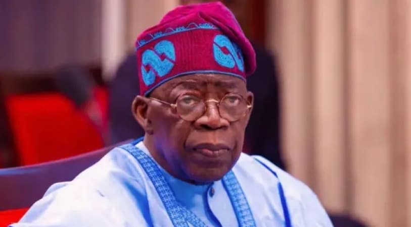 Funding, safety concerns rise as Tinubu, lawmakers push for mass security recruitment