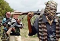 Three men killed by suspected armed herders in Benue