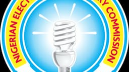 Leadership vacuum leaves NERC in limbo, threatens gains in power sector