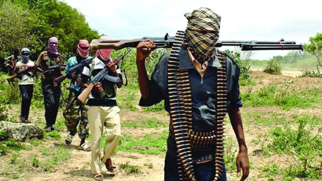 Bandits’ incursions into Kano threatening North’s stability — Group warns