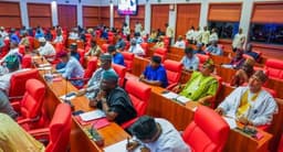 Senate reconstitutes security, Air Force, national planning committees