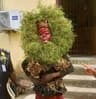 Police detain masquerader for causing public disturbance in Akwa Ibom