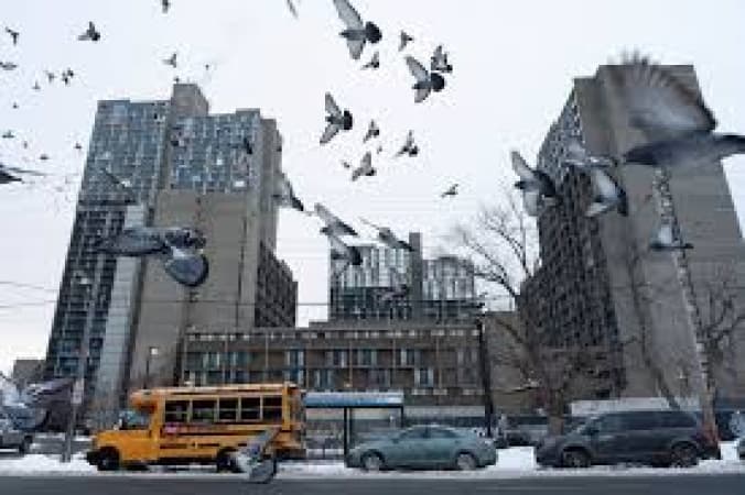 Anxiety grips Minneapolis’s Somali community as immigration agents zero in on the Twin Cities