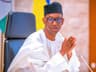 Nigeria only country with functioning democracy in Sahel, needs protection — Ribadu