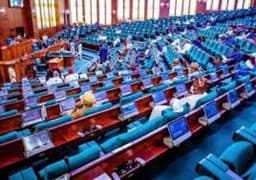 Reps suspend constitution review debate pending document distribution