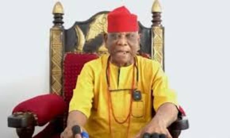 Delta traditional ruler traces Anioma people ancestry to Igbo, South East