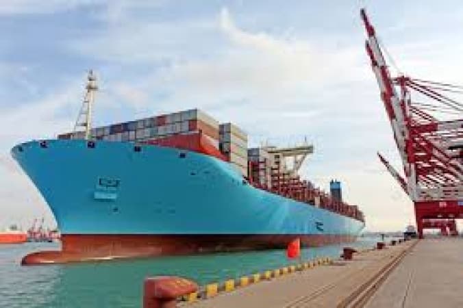 Shipping association raises the alarm over rising stowaway cases