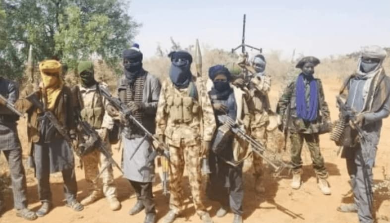 Terrorists kill one, abduct at least 20 onion farmers in fresh Borno attack