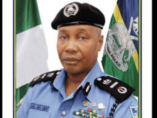 Why past attempts to withdraw policemen from VIPs failed — Ex-IGP