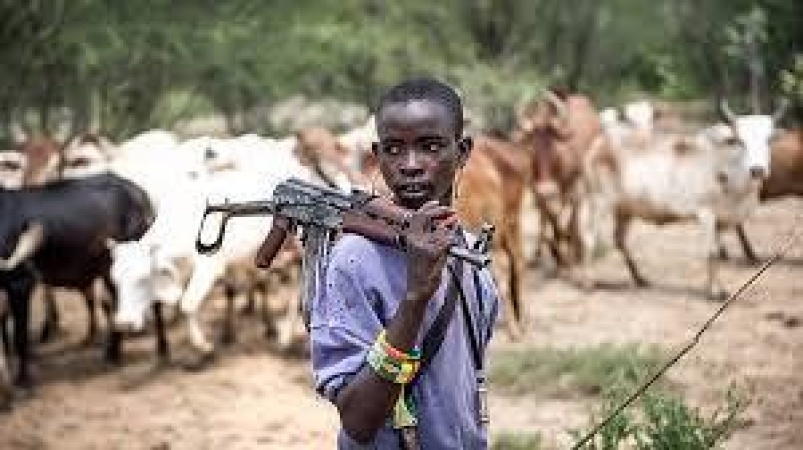 Herdsmen unleash attacks on Benue communities, machete mourners, farmers