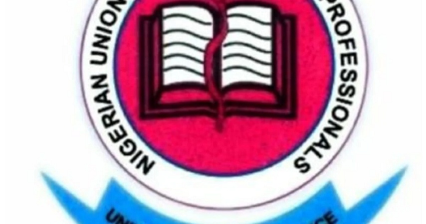 Health Professionals Union calls for stronger health workforce in South-East