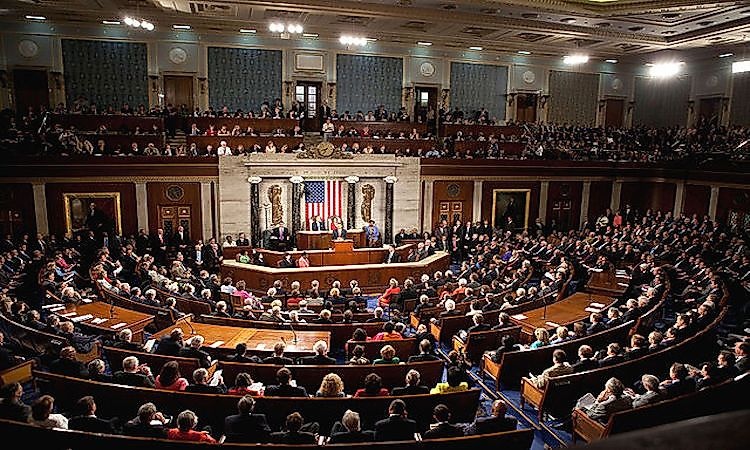 America won’t ignore killings in Nigeria — US Congress
