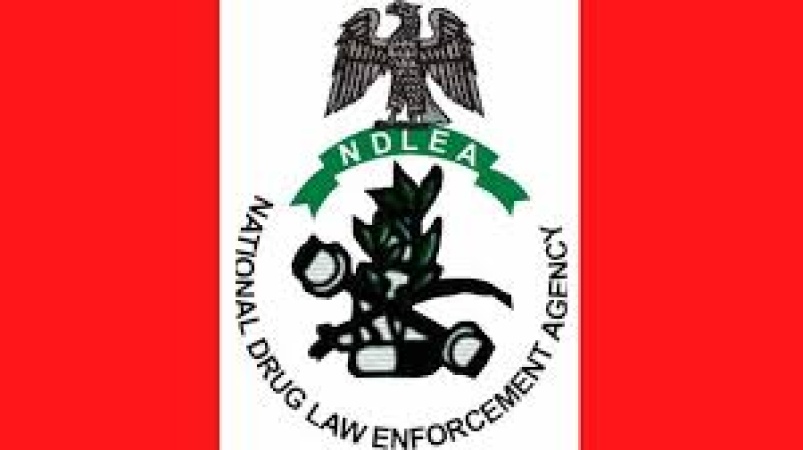 NDLEA laments drug crisis in Nigeria, intercepts illicit substances in Delta