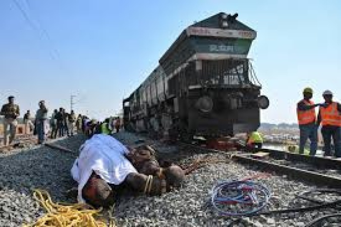 High-speed passenger train kills 7 elephants crossing railway tracks in India