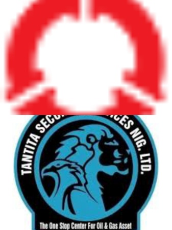 Allocate oil block to PINL, Tantita, group urges Tinubu, appeals for inclusion of Ekpeye youths in PAP