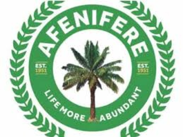 U.S airstrike on ISIS terrorists timely – Afenifere