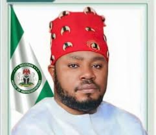 Why House repealed, re-enacted 2024, 2025 Appropriation Acts, by Agbese