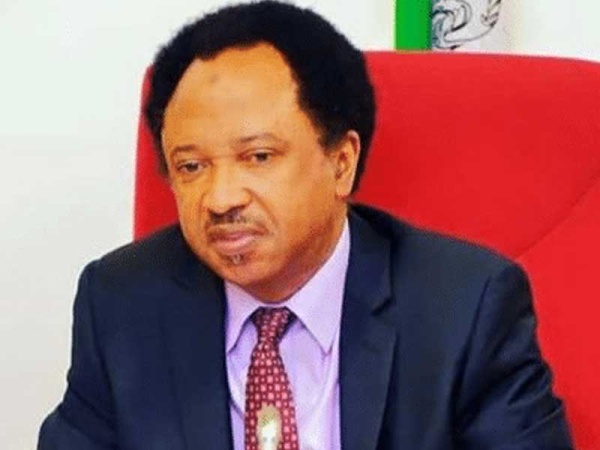 Nigeria security forces, not US strikes gave us yuletide peace — Sani
