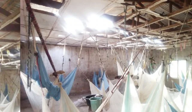 Yobe, Benue record highest new IDP numbers — NHRC