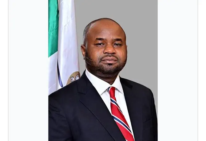 Zacch: No more climbing Sycamore tree!