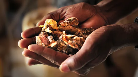 Why the world is running out of frankincense