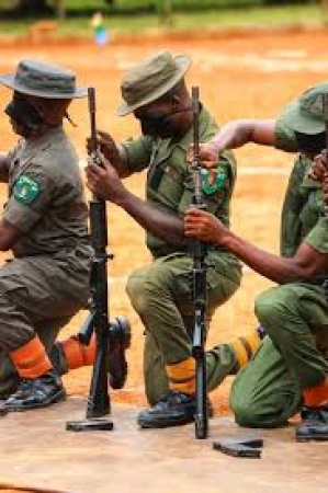 Bandits attack National Park Service Office in Oyo, kill personnel