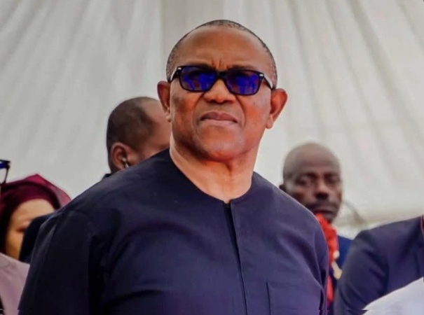 Peter Obi's presence has strengthened party's confidence nationwide — ADC