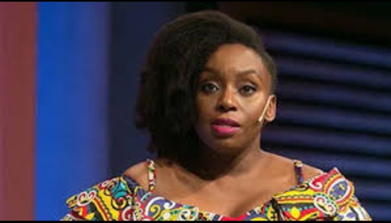 Lagos Govt. orders investigation into death of Chimamanda Ngozi Adichie's son