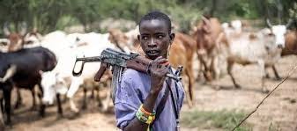 Chaos in Benue LG as armed herdsmen destroy crops worth millions, farmers flee homes