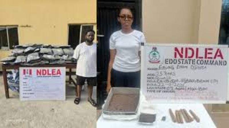 NDLEA nabs ex-convict, female online vendor, others in 9 states raids