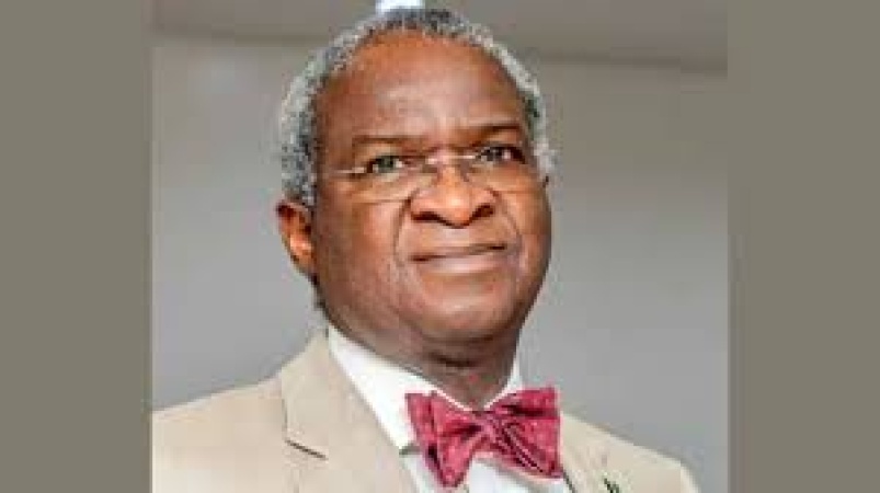 Visa Restrictions: Nigeria should assert its position, not beg, says Fashola
