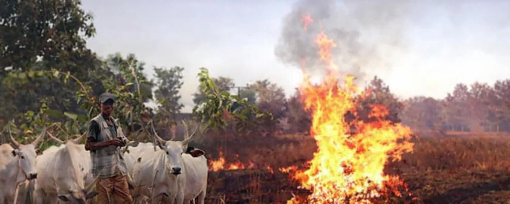 Three children burnt to death while grazing cattle