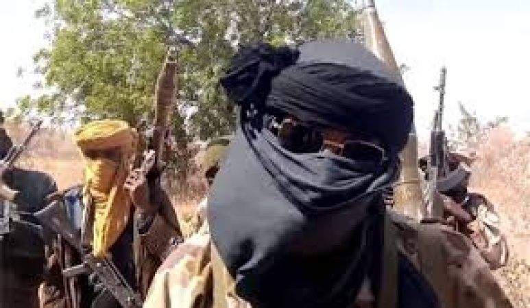 Seven feared killed as terrorists attack Wawa community in Niger