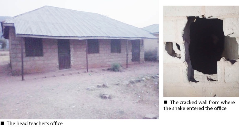 Tragedy, as snake kills head teacher at Abuja school
