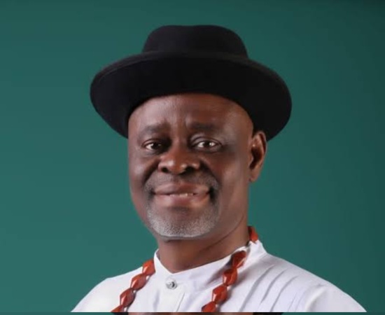 GBV: 3,200 Nigerian men now feminist allies — Centre LSD