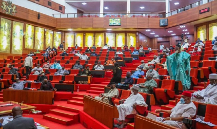 Electoral Act Amendment Bill: Senate delay risks 2027 elections, could create confusion — Sam Amadi 