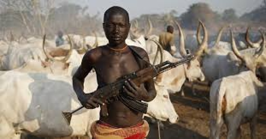 Over 16 killed as suspected herdsmen attack Benue community